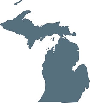 State of Michigan Graphic